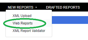 GoAML STR report